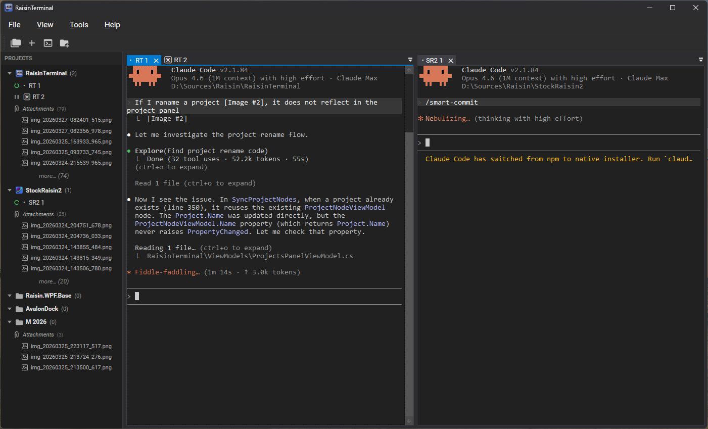 RaisinTerminal showing multiple Claude Code sessions with a projects panel